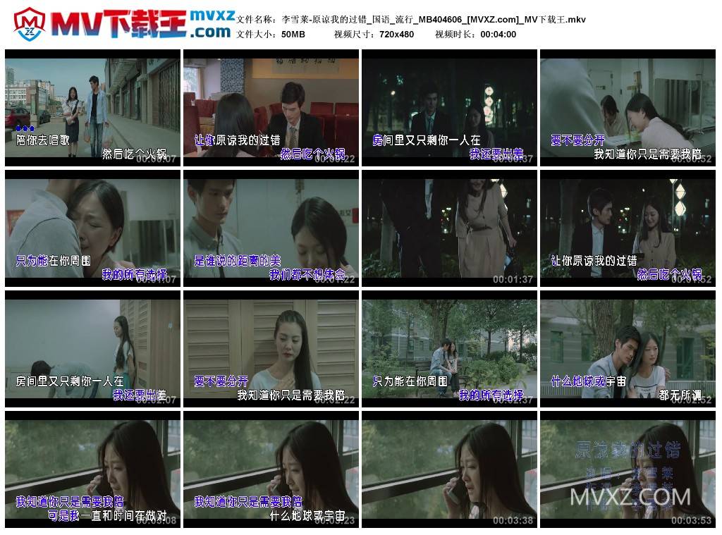 李雪莱-原谅我的过错_国语_流行_MB404606